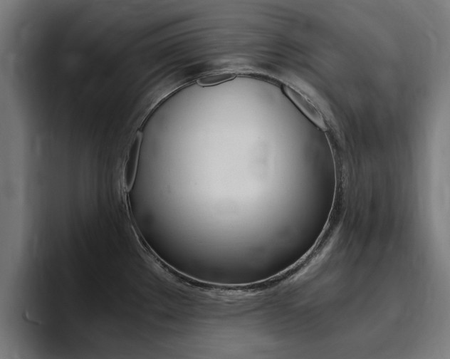 X0000094431289200711081011