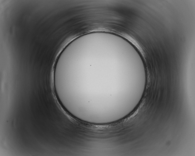 X0000094431290200711081011