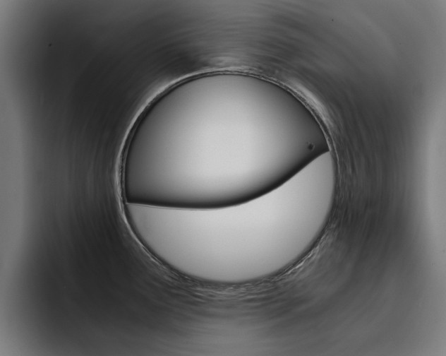 X0000094431291200711081011