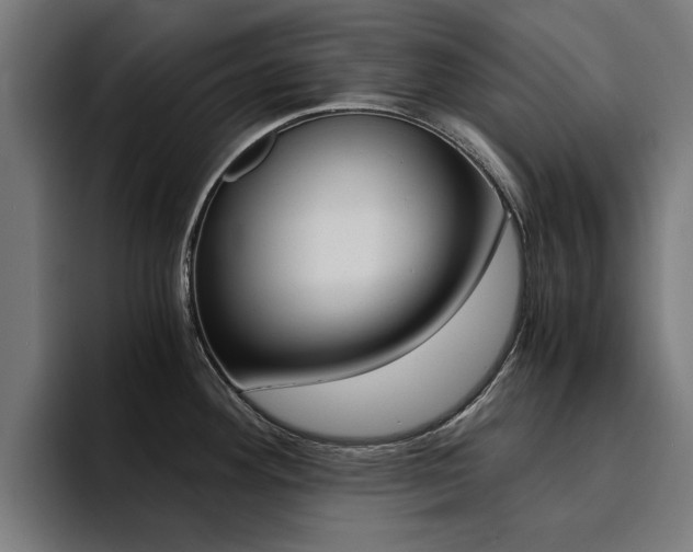 X0000094431292200711081011