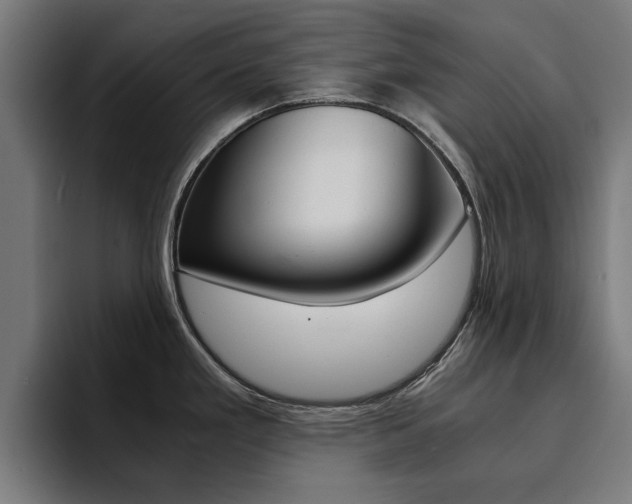 X0000094431293200711081011