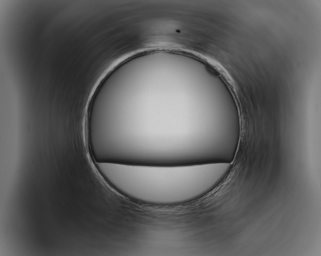 X0000094431295200711081011