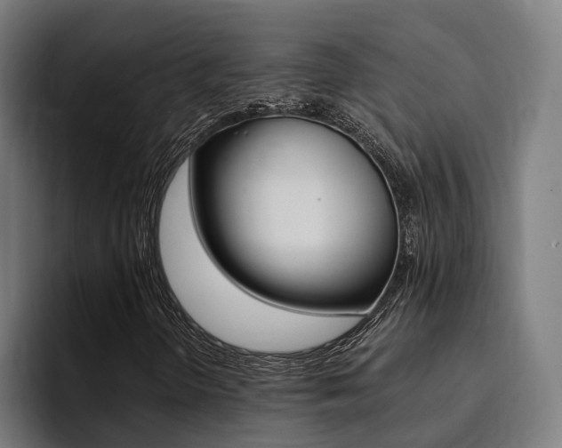X0000094431298200711081011