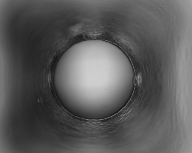 X0000094431299200711081011