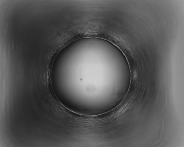 X0000094431300200711081011