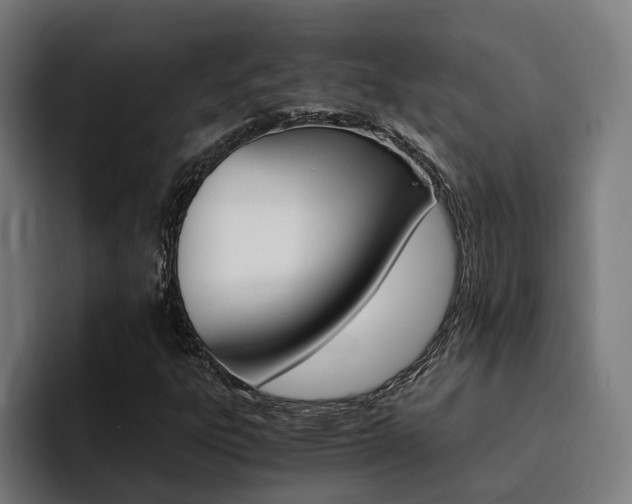 X0000094431303200711081011