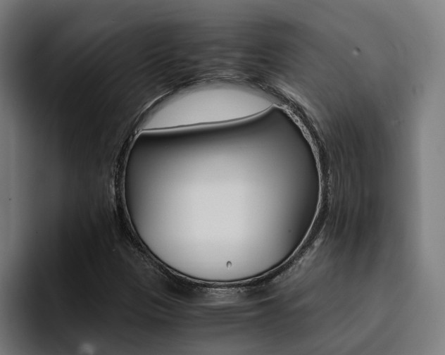 X0000094431305200711081011