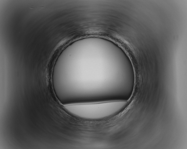 X0000094431306200711081011