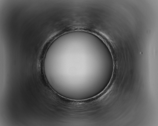 X0000094431309200711081011