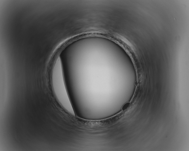 X0000094431310200711081011