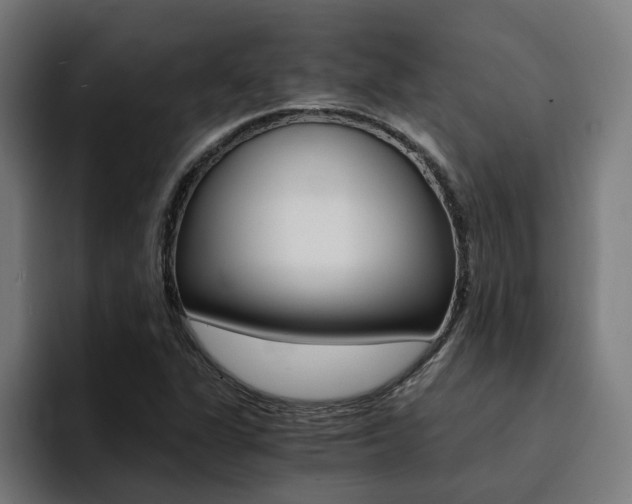 X0000094431311200711081011