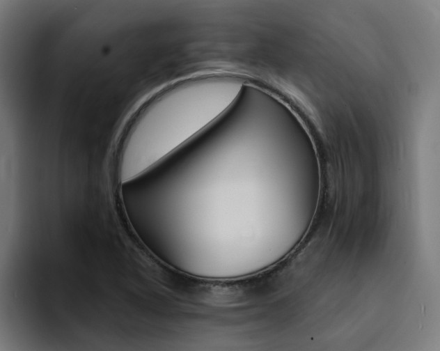 X0000094431318200711081011