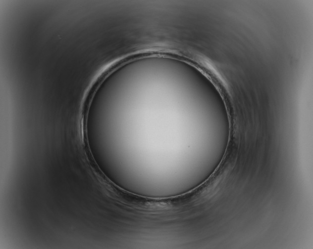 X0000094431320200711081011