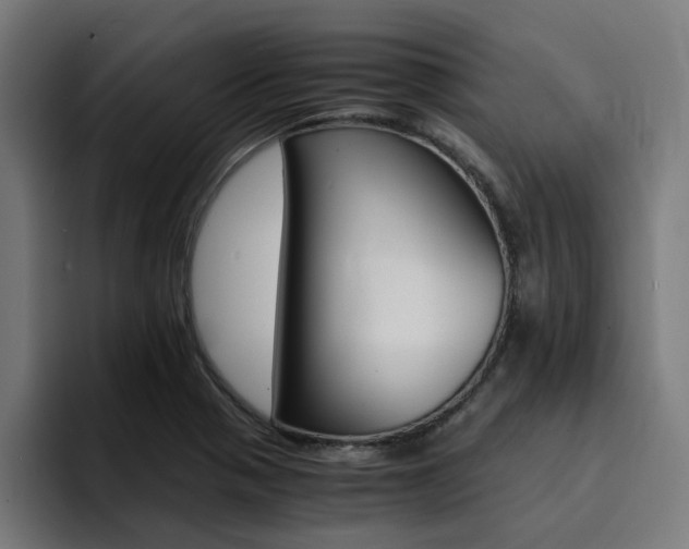 X0000094431321200711081011