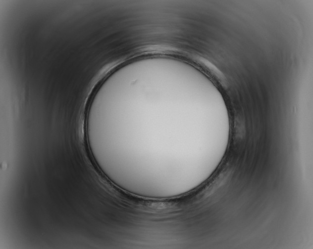 X0000094431322200711081011