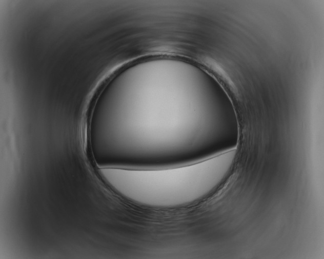 X0000094431323200711081011