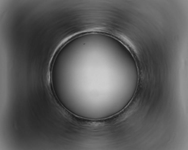 X0000094431324200711081011