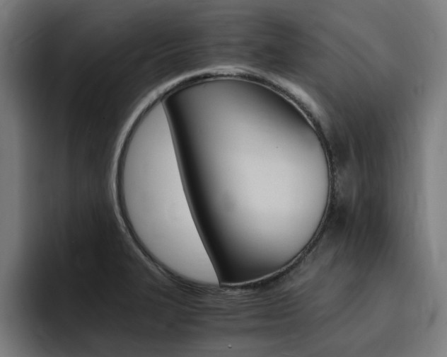 X0000094431327200711081011