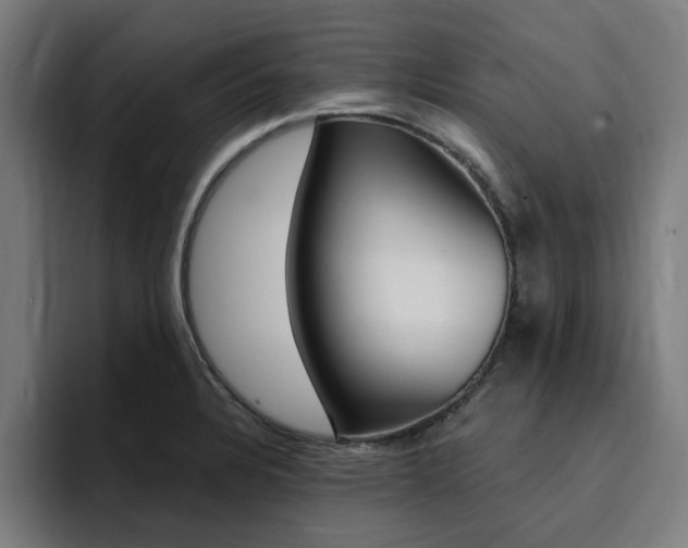 X0000094431328200711081011