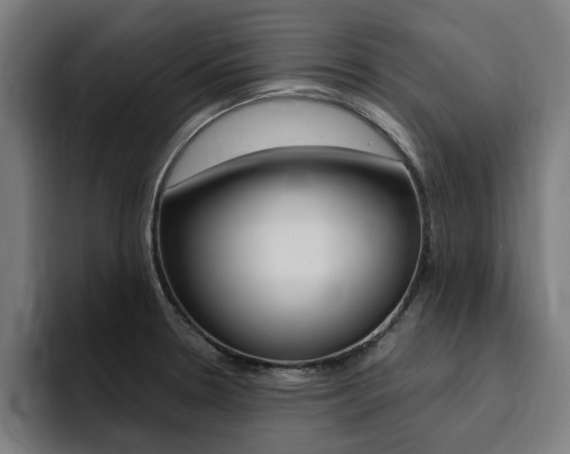 X0000094431330200711081011