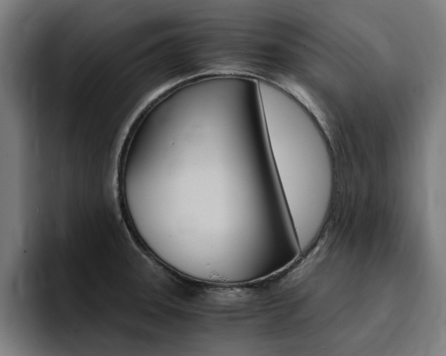X0000094431331200711081011