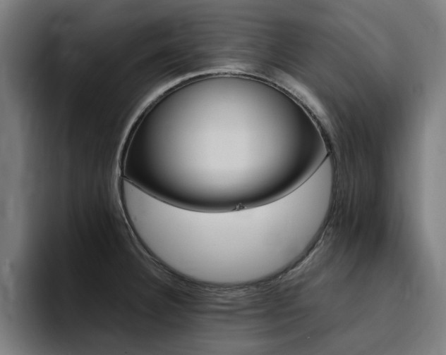 X0000094431332200711081011