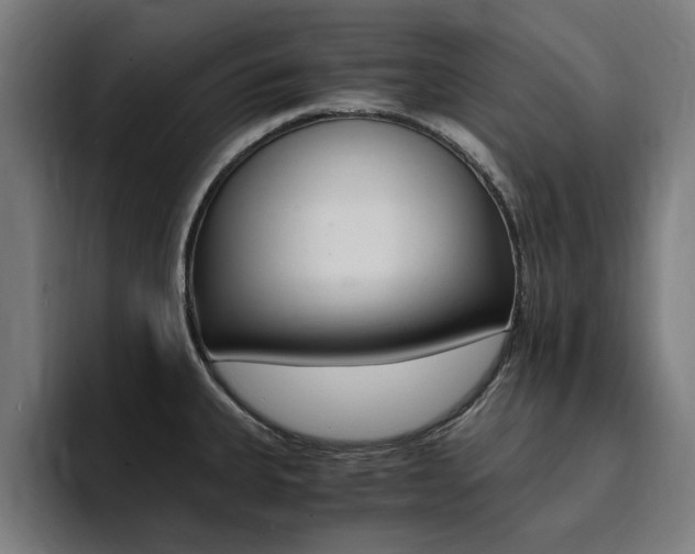 X0000094431335200711081011