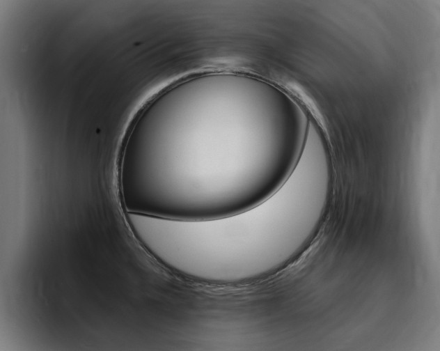 X0000094431336200711081011