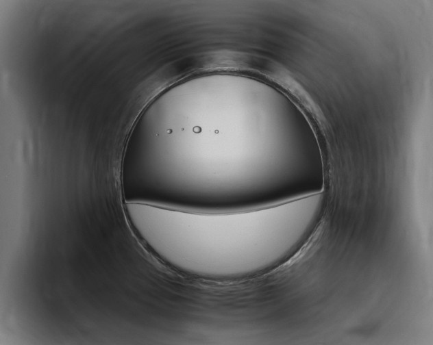 X0000094431337200711081011
