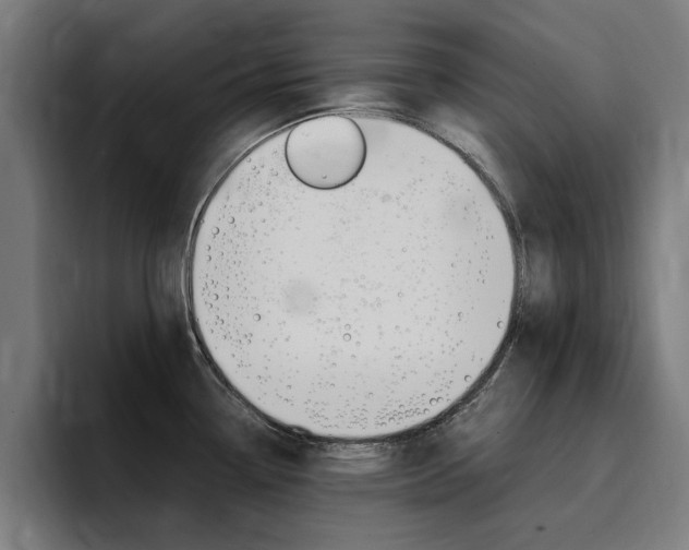 X0000094431338200711081011