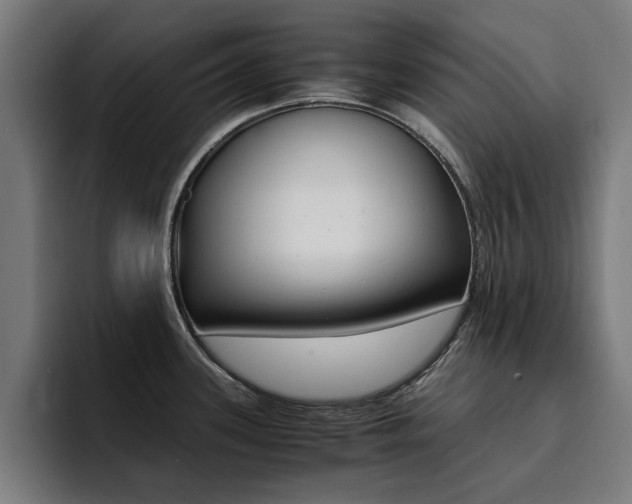 X0000094431339200711081011