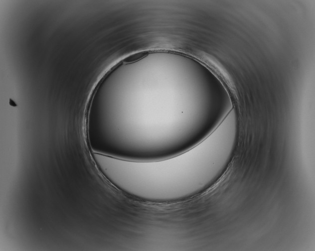 X0000094431340200711081011