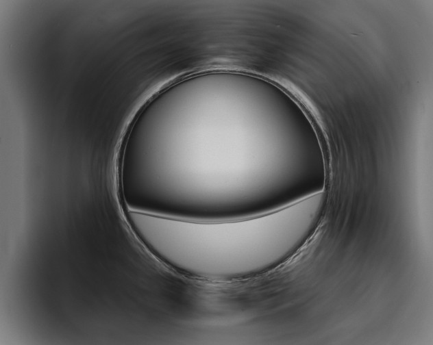 X0000094431341200711081011