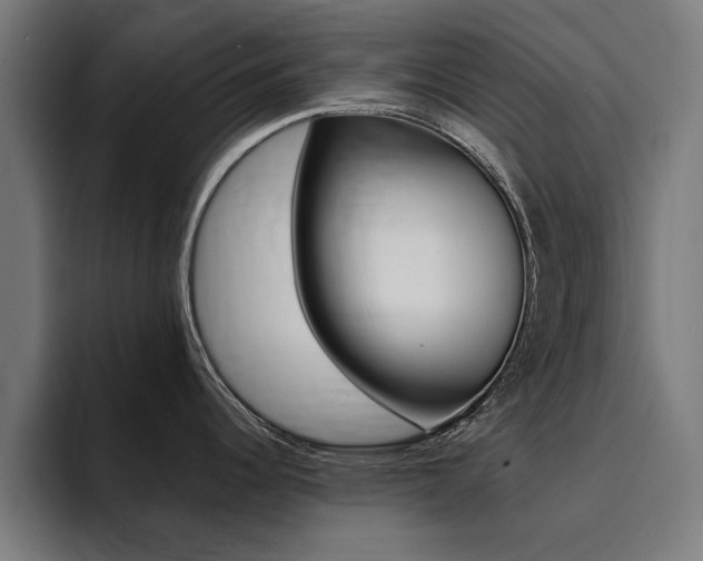 X0000094431344200711081011
