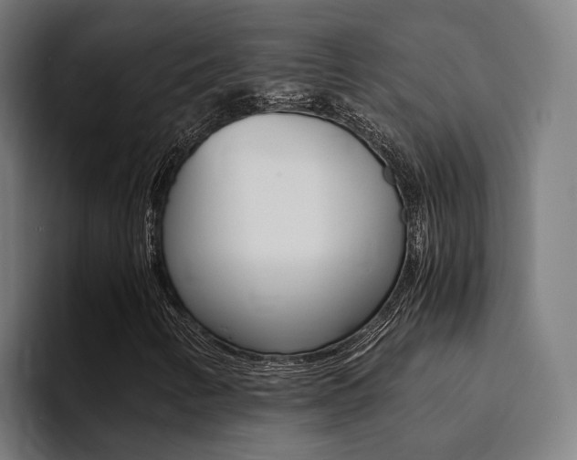 X0000094431346200711081010