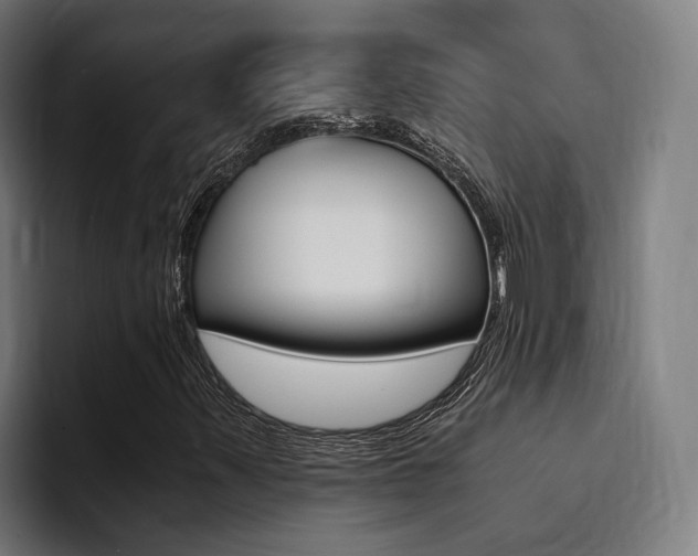 X0000094431347200711081010