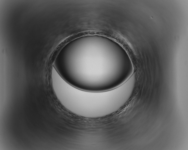 X0000094431352200711081010