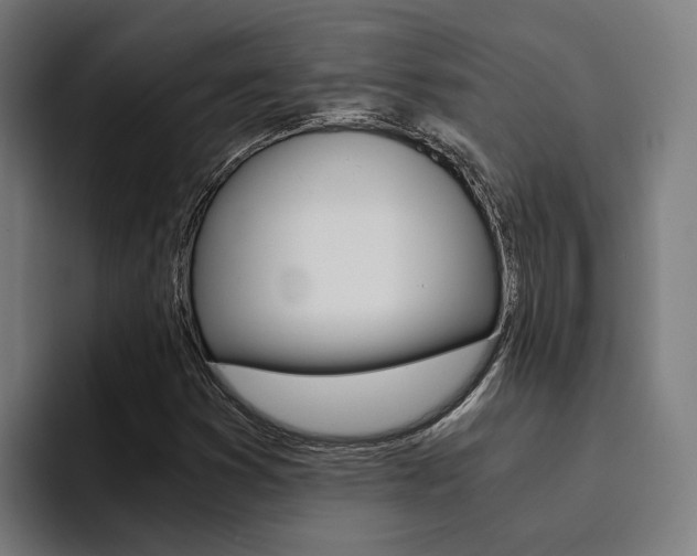 X0000094431353200711081010