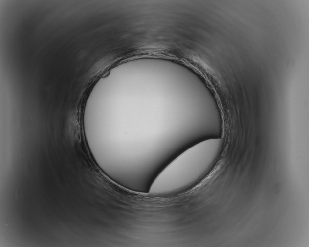 X0000094431354200711081010