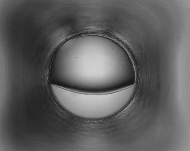 X0000094431355200711081010