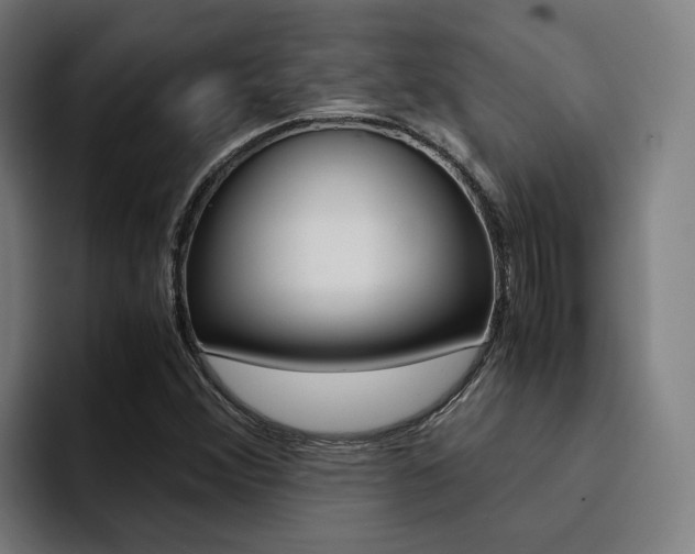 X0000094431356200711081010