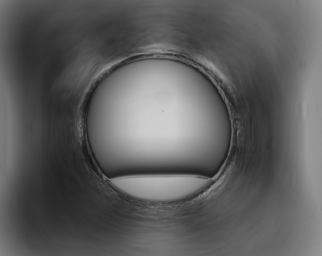 X0000094431358200711081010