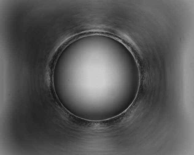 X0000094431360200711081010