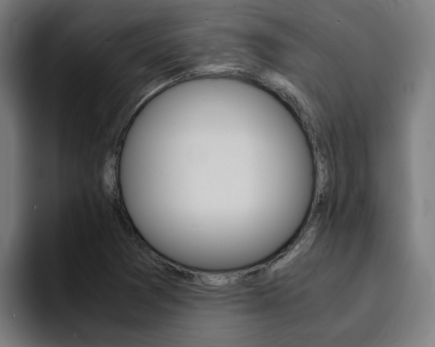X0000094431361200711081010