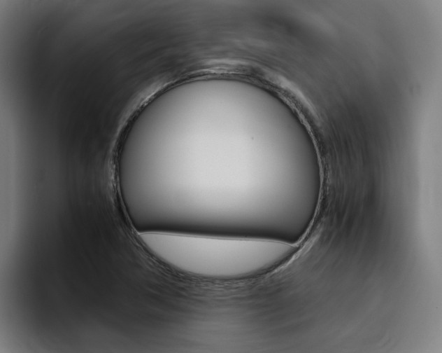 X0000094431362200711081010