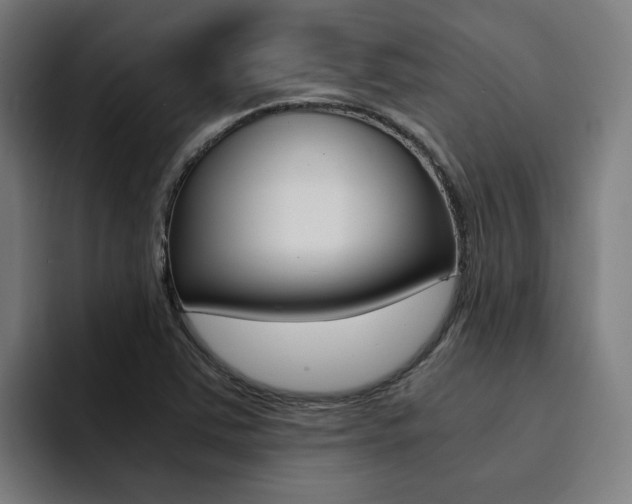 X0000094431363200711081010