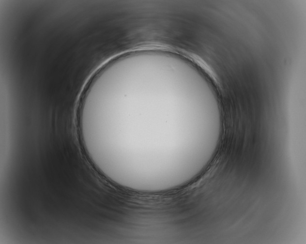X0000094431364200711081010