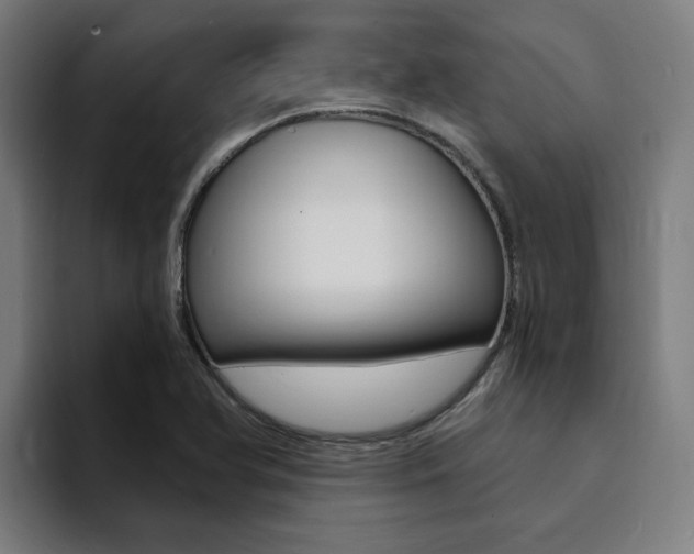 X0000094431366200711081010