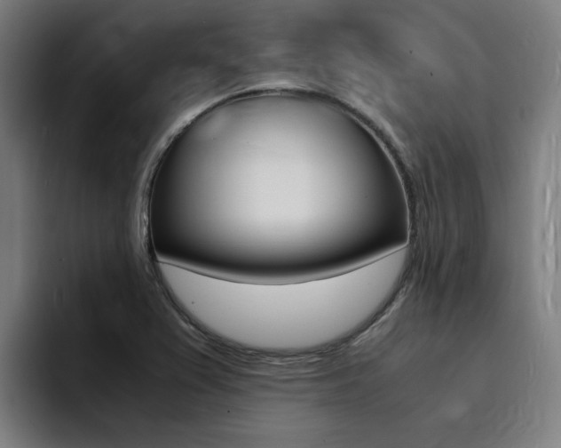 X0000094431367200711081010
