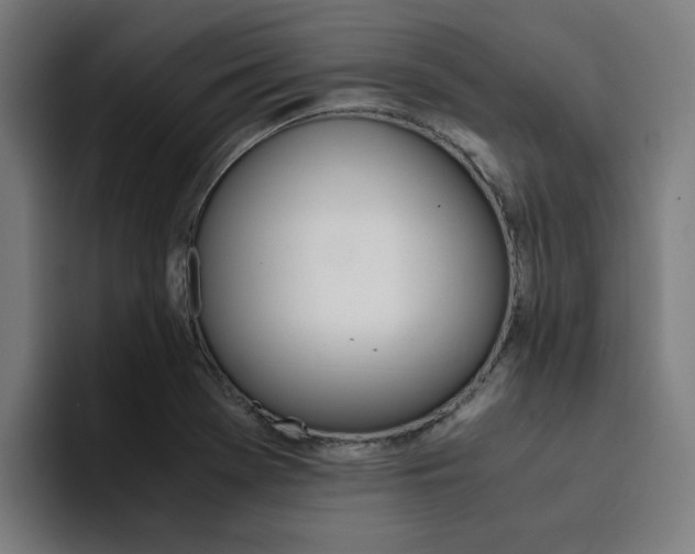 X0000094431369200711081010